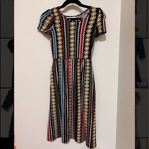 DDS MAXI